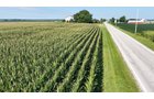 Property photo 32 - PREMIER OHIO LAND AUCTION - 377+/-ACRES OFFERED IN 5 TRACTS IN WYANDOT COUNTY, OHIO