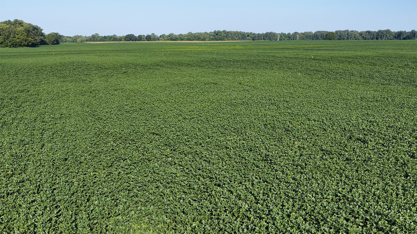 Property photo 26 - PREMIER OHIO LAND AUCTION - 377+/-ACRES OFFERED IN 5 TRACTS IN WYANDOT COUNTY, OHIO