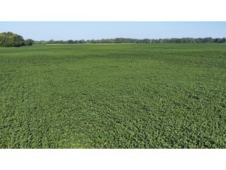 Property photo 27 - PREMIER OHIO LAND AUCTION - 377+/-ACRES OFFERED IN 5 TRACTS IN WYANDOT COUNTY, OHIO