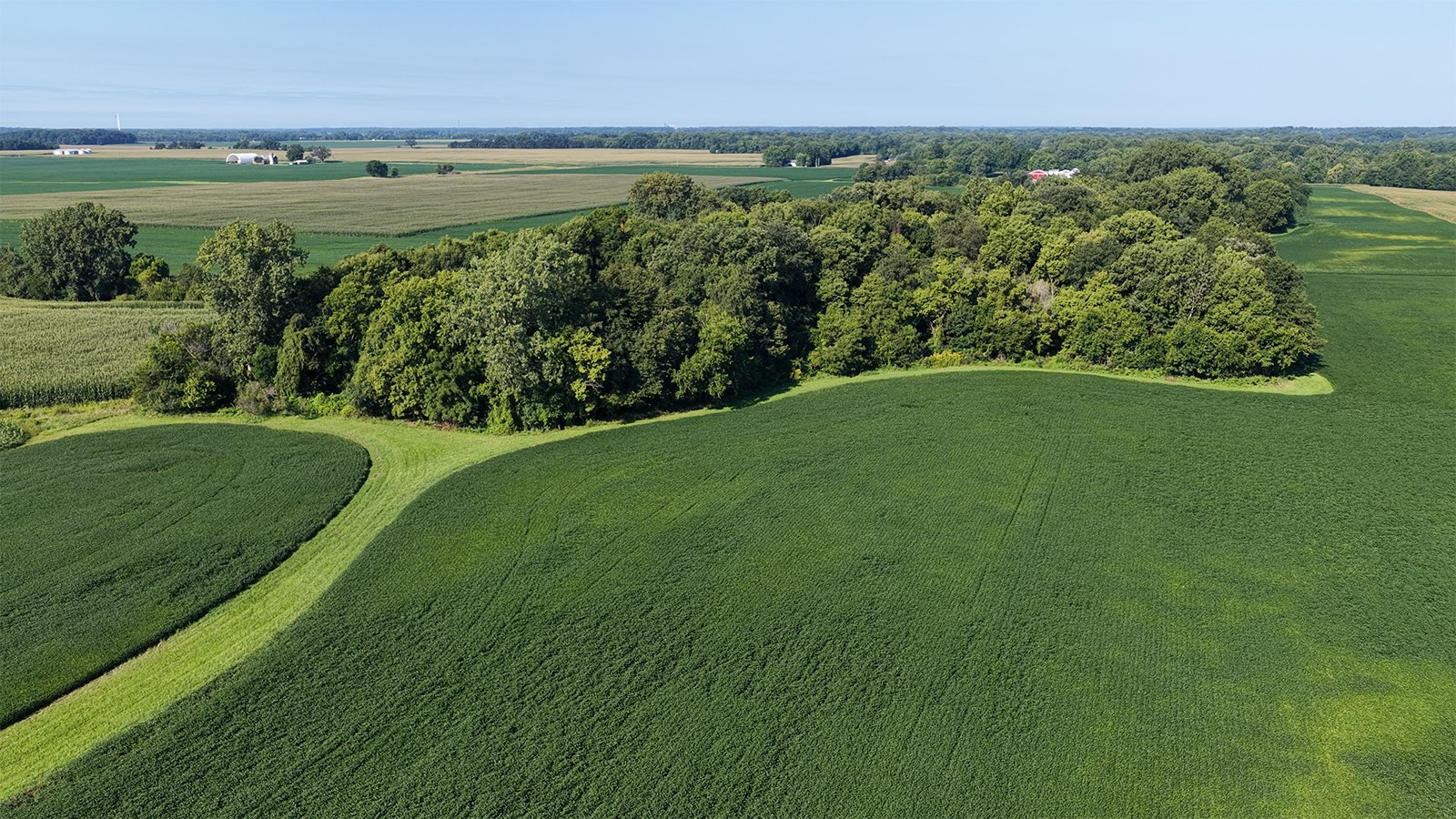 Property photo 8 - PREMIER OHIO LAND AUCTION - 377+/-ACRES OFFERED IN 5 TRACTS IN WYANDOT COUNTY, OHIO
