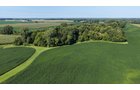Property photo 8 - PREMIER OHIO LAND AUCTION - 377+/-ACRES OFFERED IN 5 TRACTS IN WYANDOT COUNTY, OHIO