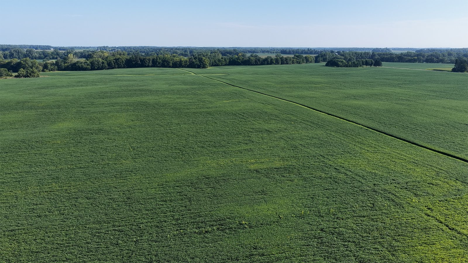 Property photo 7 - PREMIER OHIO LAND AUCTION - 377+/-ACRES OFFERED IN 5 TRACTS IN WYANDOT COUNTY, OHIO