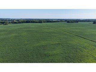 Property photo 30 - PREMIER OHIO LAND AUCTION - 377+/-ACRES OFFERED IN 5 TRACTS IN WYANDOT COUNTY, OHIO