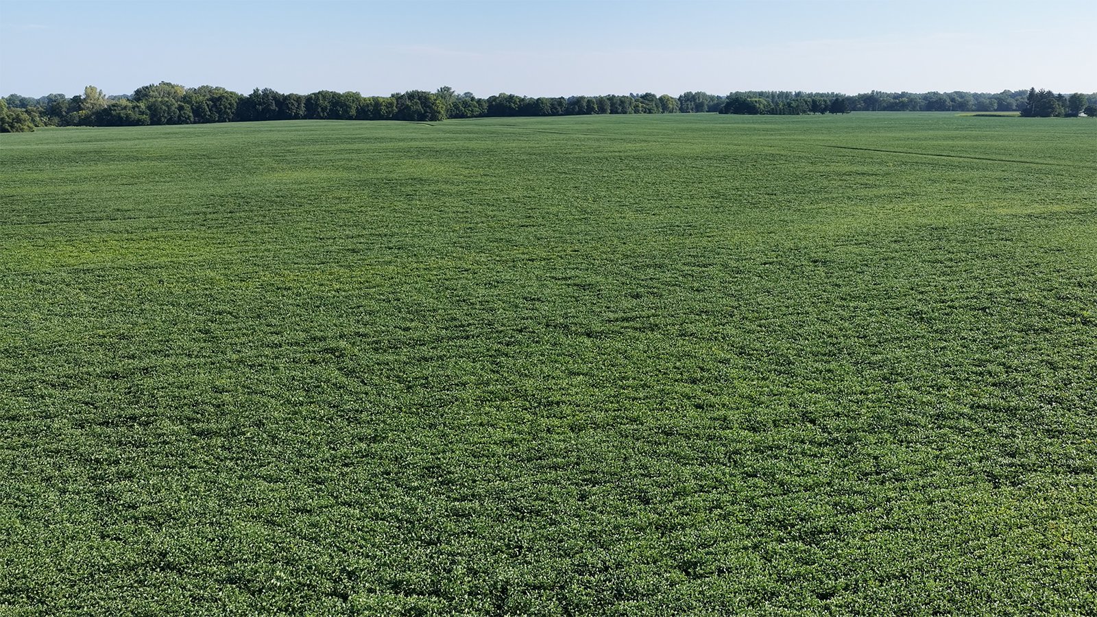 Property photo 27 - PREMIER OHIO LAND AUCTION - 377+/-ACRES OFFERED IN 5 TRACTS IN WYANDOT COUNTY, OHIO