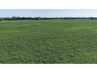Property photo 29 - PREMIER OHIO LAND AUCTION - 377+/-ACRES OFFERED IN 5 TRACTS IN WYANDOT COUNTY, OHIO