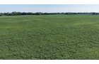 Property photo 27 - PREMIER OHIO LAND AUCTION - 377+/-ACRES OFFERED IN 5 TRACTS IN WYANDOT COUNTY, OHIO