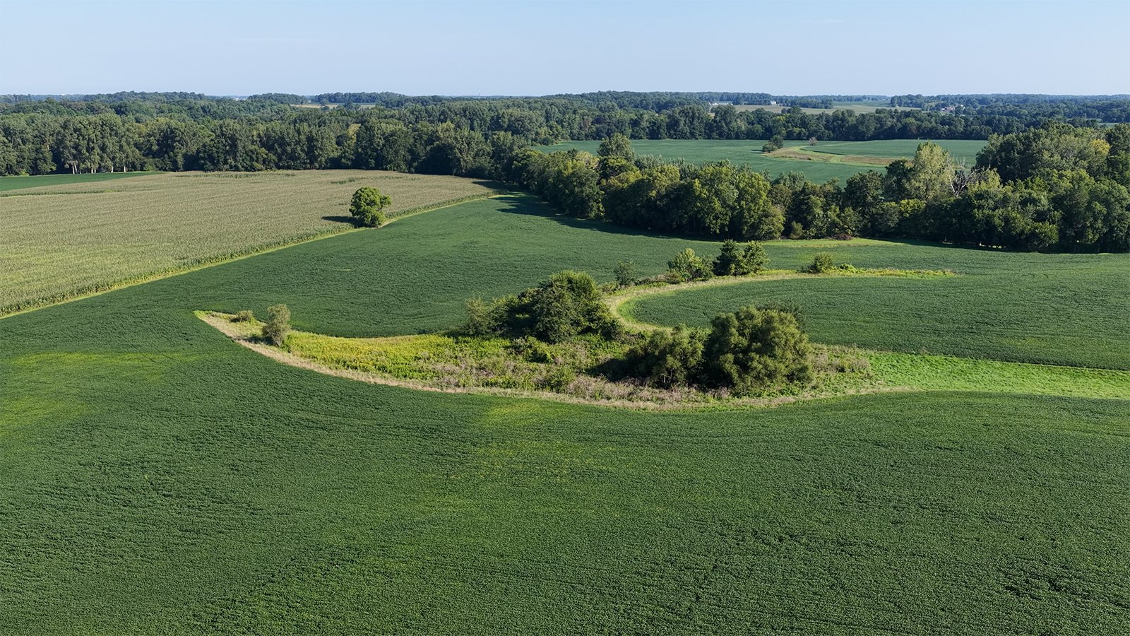 Property photo 6 - PREMIER OHIO LAND AUCTION - 377+/-ACRES OFFERED IN 5 TRACTS IN WYANDOT COUNTY, OHIO