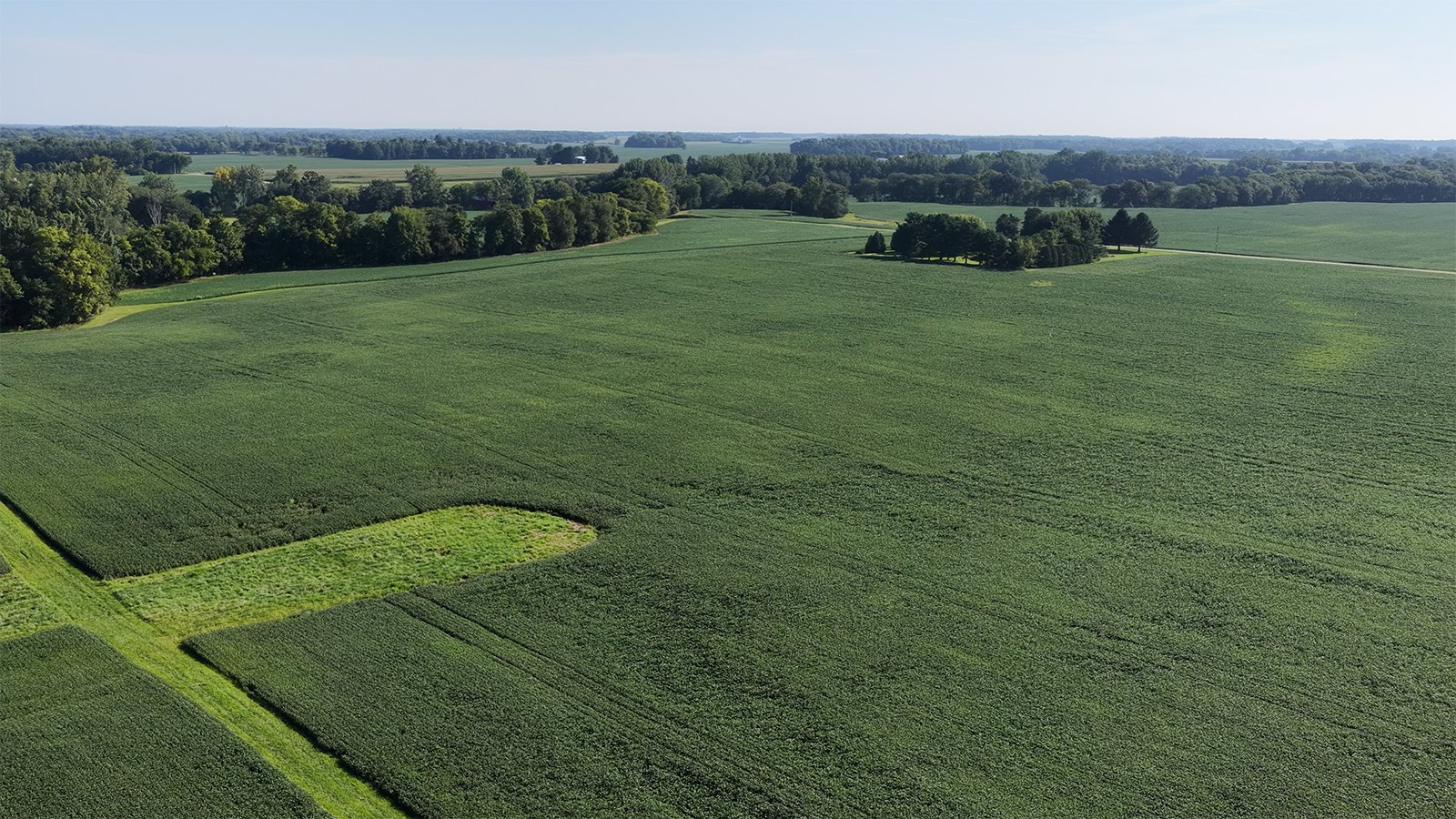 Property photo 5 - PREMIER OHIO LAND AUCTION - 377+/-ACRES OFFERED IN 5 TRACTS IN WYANDOT COUNTY, OHIO