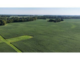 Property photo 32 - PREMIER OHIO LAND AUCTION - 377+/-ACRES OFFERED IN 5 TRACTS IN WYANDOT COUNTY, OHIO