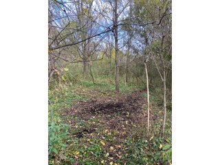 Property photo 12 - PHONE BID ONLY HUNTING & RECREATIONAL PROPERTY AUCTION - 10+/-ACRES OFFERED IN 1 TRACT IN LAGRANGE COUNTY, INDIANA