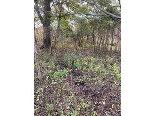 Property photo 11 - PHONE BID ONLY HUNTING & RECREATIONAL PROPERTY AUCTION - 10+/-ACRES OFFERED IN 1 TRACT IN LAGRANGE COUNTY, INDIANA