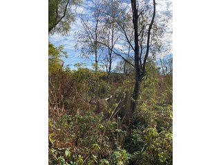 Property photo 9 - PHONE BID ONLY HUNTING & RECREATIONAL PROPERTY AUCTION - 10+/-ACRES OFFERED IN 1 TRACT IN LAGRANGE COUNTY, INDIANA