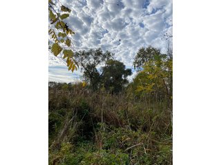 Property photo 1 - PHONE BID ONLY HUNTING & RECREATIONAL PROPERTY AUCTION - 10+/-ACRES OFFERED IN 1 TRACT IN LAGRANGE COUNTY, INDIANA