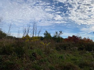 Property photo 7 - PHONE BID ONLY HUNTING & RECREATIONAL PROPERTY AUCTION - 10+/-ACRES OFFERED IN 1 TRACT IN LAGRANGE COUNTY, INDIANA