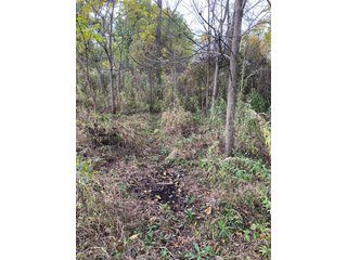 Property photo 6 - PHONE BID ONLY HUNTING & RECREATIONAL PROPERTY AUCTION - 10+/-ACRES OFFERED IN 1 TRACT IN LAGRANGE COUNTY, INDIANA