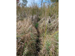 Property photo 5 - PHONE BID ONLY HUNTING & RECREATIONAL PROPERTY AUCTION - 10+/-ACRES OFFERED IN 1 TRACT IN LAGRANGE COUNTY, INDIANA