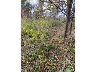 Property photo 4 - PHONE BID ONLY HUNTING & RECREATIONAL PROPERTY AUCTION - 10+/-ACRES OFFERED IN 1 TRACT IN LAGRANGE COUNTY, INDIANA