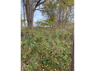 Property photo 2 - PHONE BID ONLY HUNTING & RECREATIONAL PROPERTY AUCTION - 10+/-ACRES OFFERED IN 1 TRACT IN LAGRANGE COUNTY, INDIANA