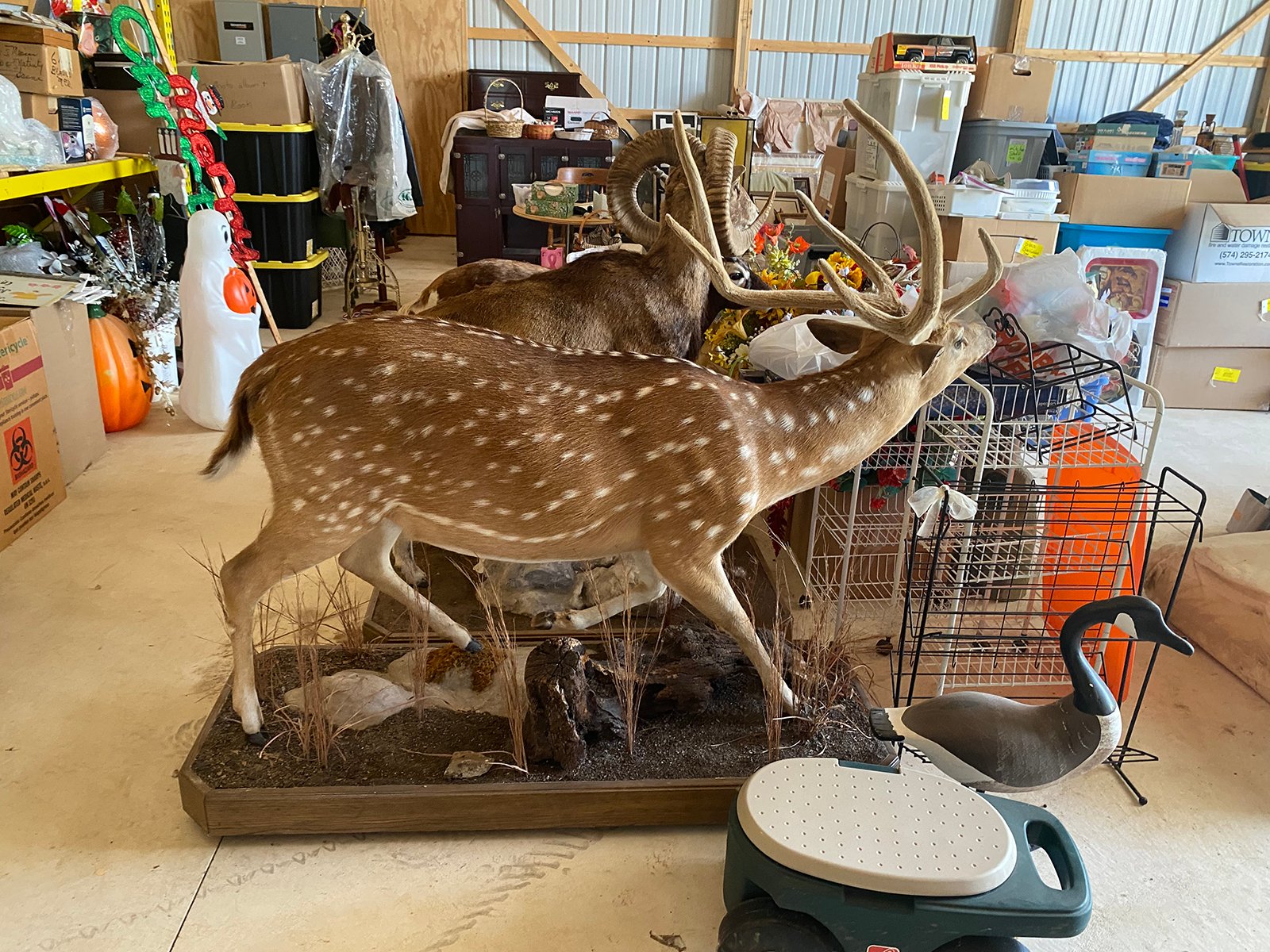 Property photo 109 - TIMED ONLINE ONLY PERSONAL PROPERTY AUCTION IN SAINT JOSEPH COUNTY, MICHIGAN