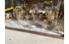 Property photo 118 - TIMED ONLINE ONLY PERSONAL PROPERTY AUCTION IN SAINT JOSEPH COUNTY, MICHIGAN