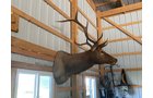 Property photo 132 - TIMED ONLINE ONLY PERSONAL PROPERTY AUCTION IN SAINT JOSEPH COUNTY, MICHIGAN