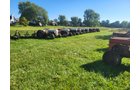 Property photo 8 - TIMED ONLINE ONLY PERSONAL PROPERTY AUCTION IN ALLEN COUNTY, INDIANA