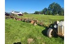 Property photo 5 - TIMED ONLINE ONLY PERSONAL PROPERTY AUCTION IN ALLEN COUNTY, INDIANA