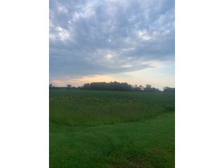 Property photo 15 - LAND AUCTION - 32+/-ACRES OFFERED IN 2 TRACTS IN ALLEN COUNTY, INDIANA