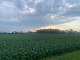 Property photo 17 - LAND AUCTION - 32+/-ACRES OFFERED IN 2 TRACTS IN ALLEN COUNTY, INDIANA