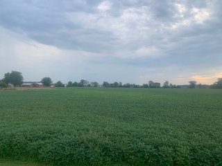 Property photo 18 - LAND AUCTION - 32+/-ACRES OFFERED IN 2 TRACTS IN ALLEN COUNTY, INDIANA