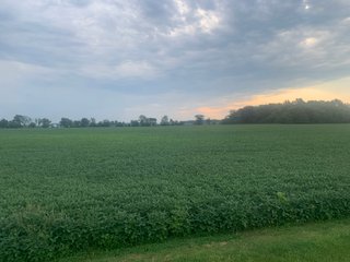 Property photo 19 - LAND AUCTION - 32+/-ACRES OFFERED IN 2 TRACTS IN ALLEN COUNTY, INDIANA