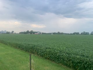 Property photo 20 - LAND AUCTION - 32+/-ACRES OFFERED IN 2 TRACTS IN ALLEN COUNTY, INDIANA