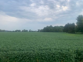 Property photo 16 - LAND AUCTION - 32+/-ACRES OFFERED IN 2 TRACTS IN ALLEN COUNTY, INDIANA