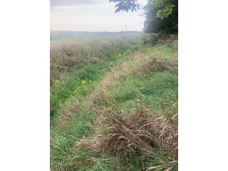 Property photo 22 - LAND AUCTION - 32+/-ACRES OFFERED IN 2 TRACTS IN ALLEN COUNTY, INDIANA