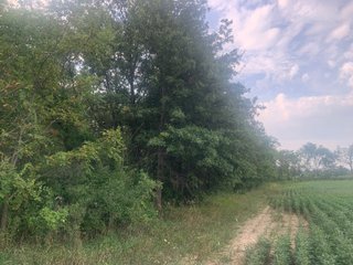 Property photo 23 - LAND AUCTION - 32+/-ACRES OFFERED IN 2 TRACTS IN ALLEN COUNTY, INDIANA