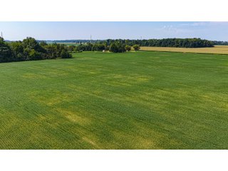 Property photo 2 - LAND AUCTION - 32+/-ACRES OFFERED IN 2 TRACTS IN ALLEN COUNTY, INDIANA