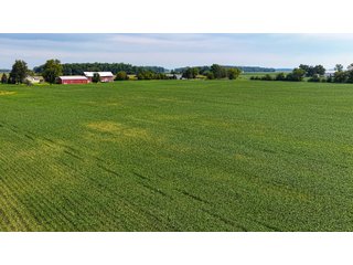 Property photo 5 - LAND AUCTION - 32+/-ACRES OFFERED IN 2 TRACTS IN ALLEN COUNTY, INDIANA