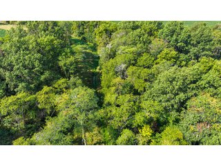 Property photo 9 - LAND AUCTION - 32+/-ACRES OFFERED IN 2 TRACTS IN ALLEN COUNTY, INDIANA