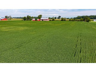 Property photo 13 - LAND AUCTION - 32+/-ACRES OFFERED IN 2 TRACTS IN ALLEN COUNTY, INDIANA