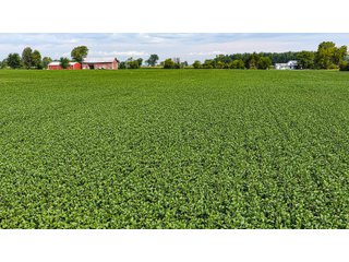 Property photo 12 - LAND AUCTION - 32+/-ACRES OFFERED IN 2 TRACTS IN ALLEN COUNTY, INDIANA