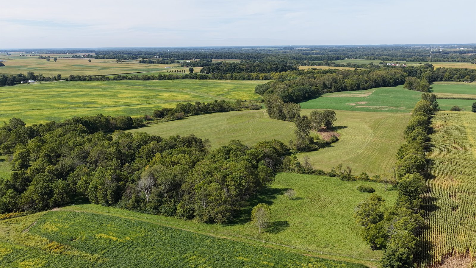 Property photo 23 - FARMLAND AUCTION - 296.5+/-ACRES OFFERED IN 8 TRACTS IN WAYNE COUNTY, INDIANA