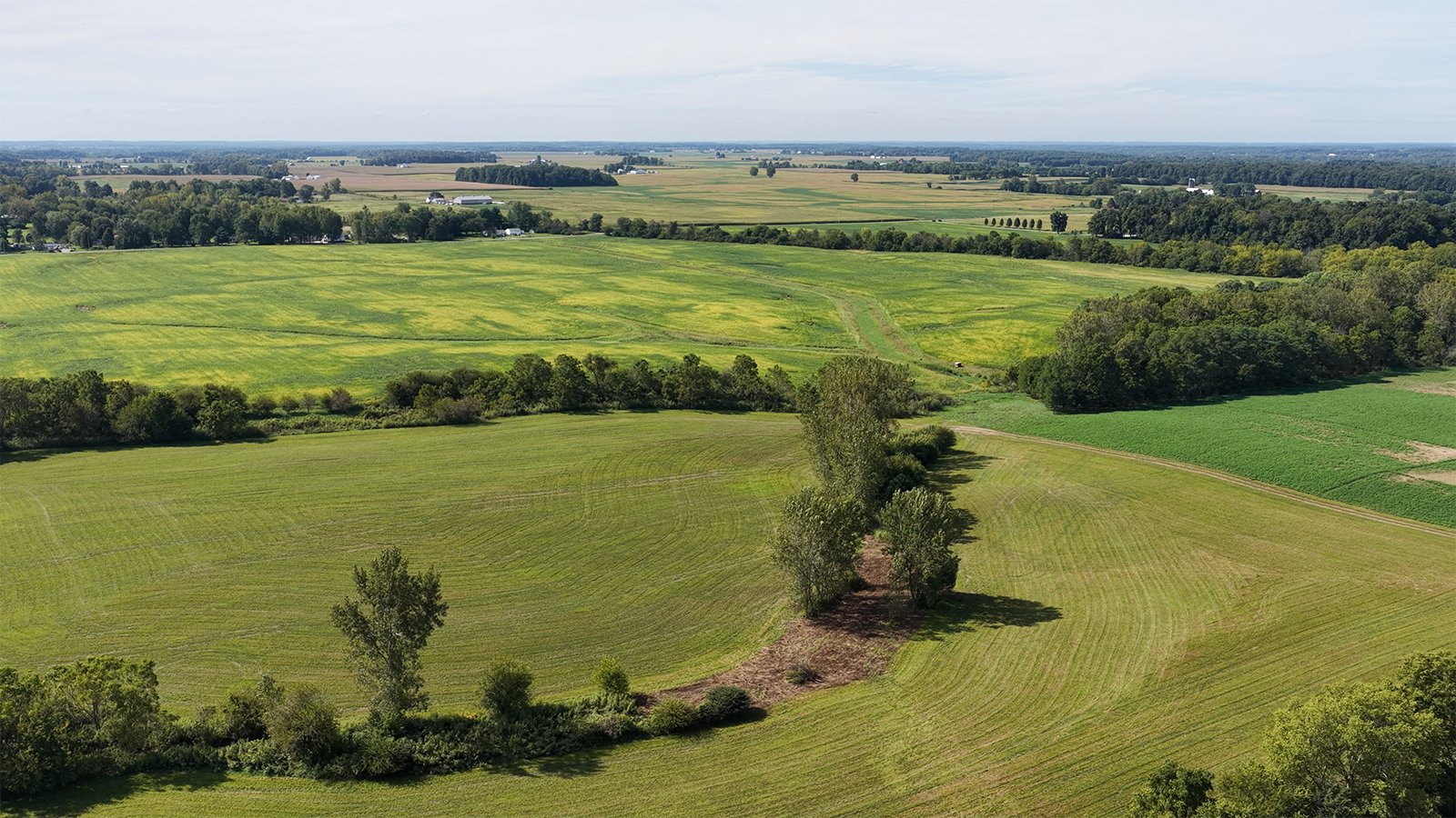 Property photo 24 - FARMLAND AUCTION - 296.5+/-ACRES OFFERED IN 8 TRACTS IN WAYNE COUNTY, INDIANA