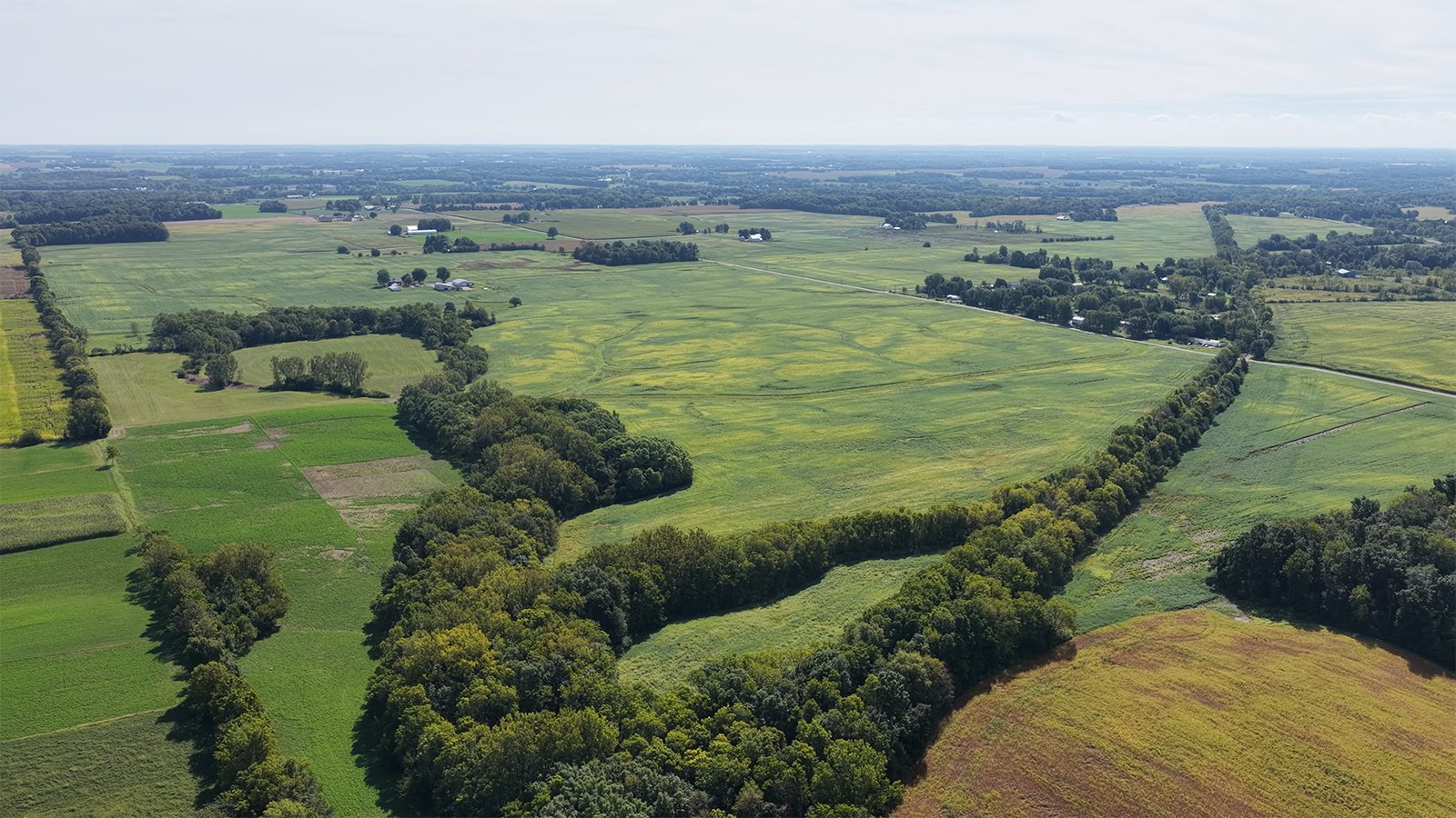 Property photo 25 - FARMLAND AUCTION - 296.5+/-ACRES OFFERED IN 8 TRACTS IN WAYNE COUNTY, INDIANA