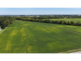 Property photo 25 - FARMLAND AUCTION - 296.5+/-ACRES OFFERED IN 8 TRACTS IN WAYNE COUNTY, INDIANA