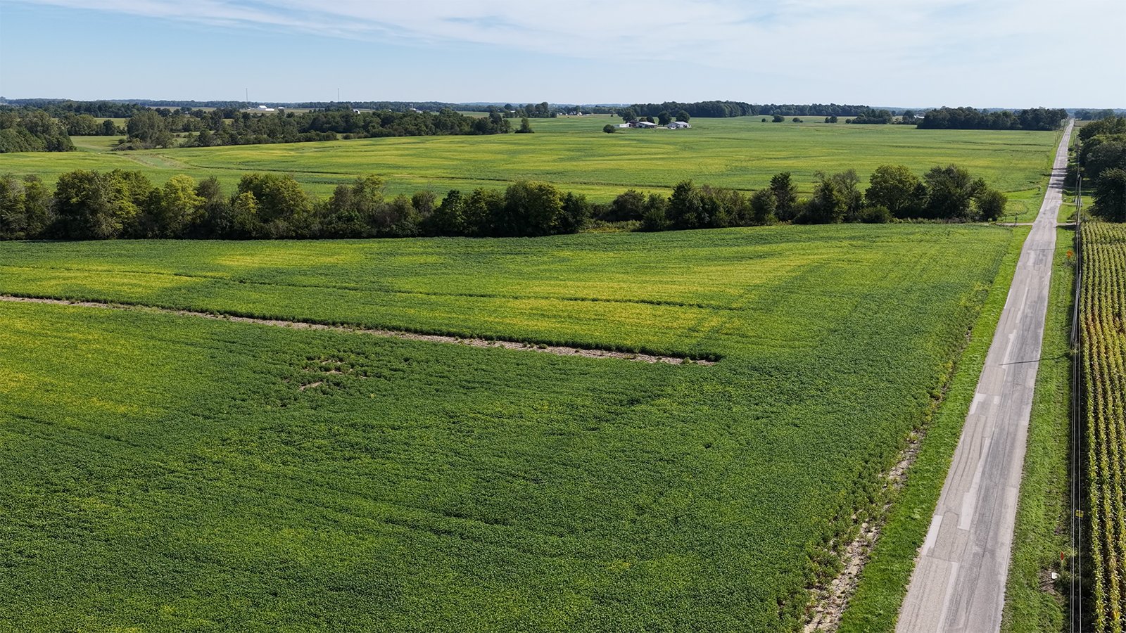 Property photo 27 - FARMLAND AUCTION - 296.5+/-ACRES OFFERED IN 8 TRACTS IN WAYNE COUNTY, INDIANA