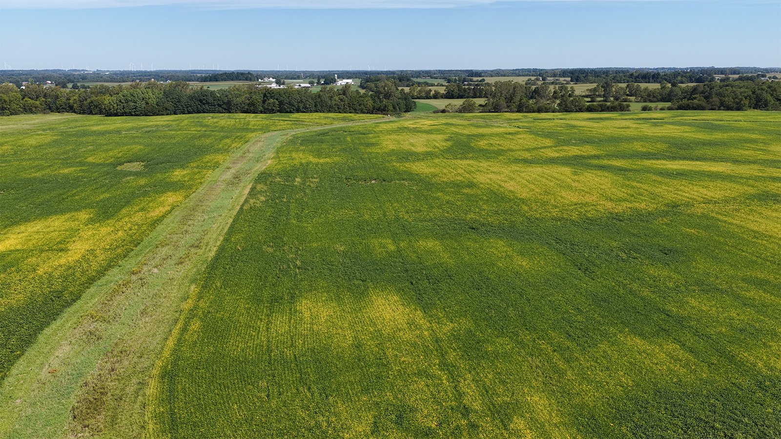 Property photo 17 - FARMLAND AUCTION - 296.5+/-ACRES OFFERED IN 8 TRACTS IN WAYNE COUNTY, INDIANA
