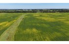 Property photo 17 - FARMLAND AUCTION - 296.5+/-ACRES OFFERED IN 8 TRACTS IN WAYNE COUNTY, INDIANA
