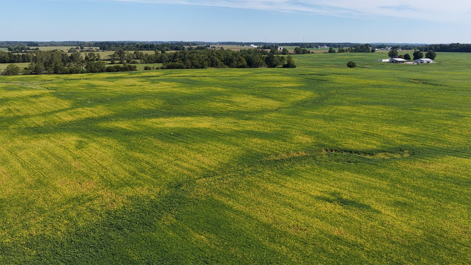Property photo 29 - FARMLAND AUCTION - 296.5+/-ACRES OFFERED IN 8 TRACTS IN WAYNE COUNTY, INDIANA