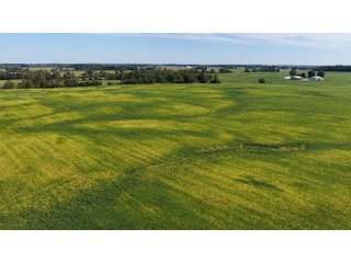 Property photo 29 - FARMLAND AUCTION - 296.5+/-ACRES OFFERED IN 8 TRACTS IN WAYNE COUNTY, INDIANA