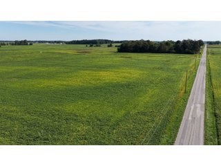 Property photo 14 - FARMLAND AUCTION - 296.5+/-ACRES OFFERED IN 8 TRACTS IN WAYNE COUNTY, INDIANA